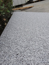 Load image into Gallery viewer, SILVER GREY GRANITE  600 X 900  (G603)